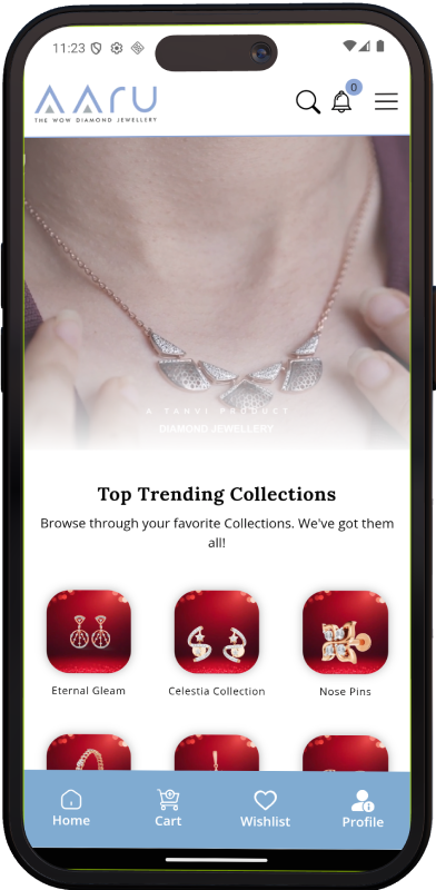 Client App Image